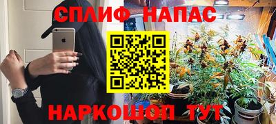 амф Кимры