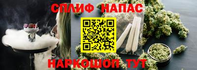 спайс Кинель