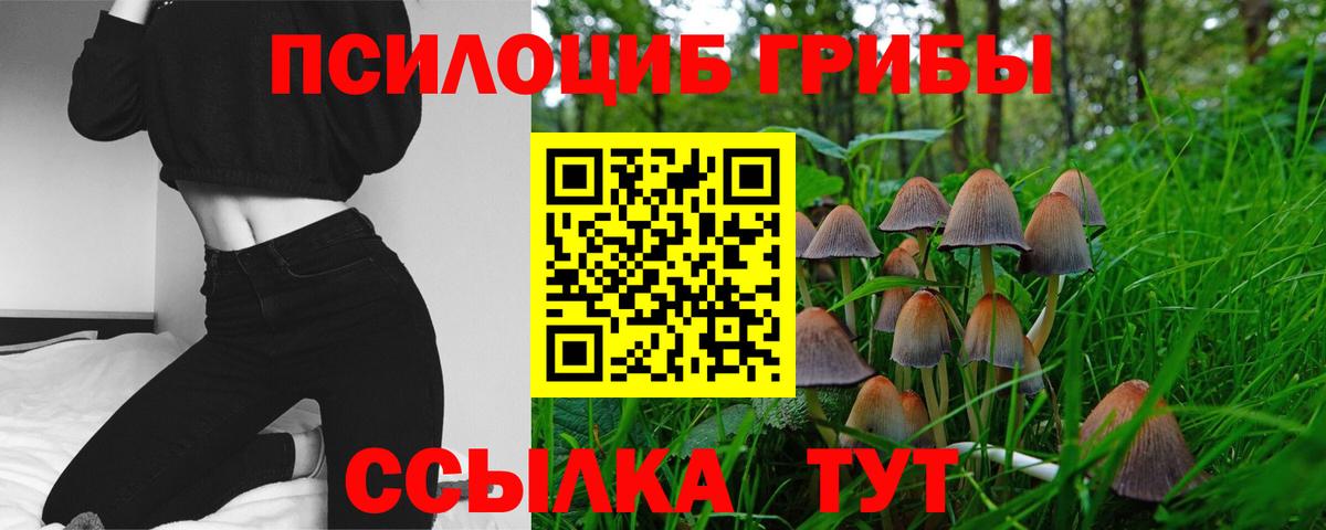 Псилоцибиновые грибы мухоморы Евпатория